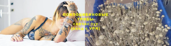 дурь Белоозёрский