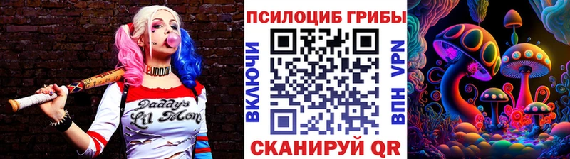 Псилоцибиновые грибы мухоморы  Городовиковск 